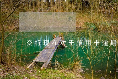 交行现在对于信用卡逾期怎么处理 交行现在对于信用卡逾期怎么处理