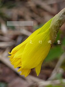 交行调整信用卡逾期记录 交行调整信用卡逾期记录
