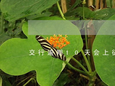 交行逾期10天会上征信 交行逾期10天会上征信