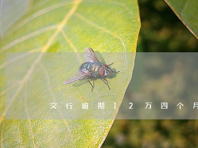 交行逾期12万四个月 交行逾期12万四个月