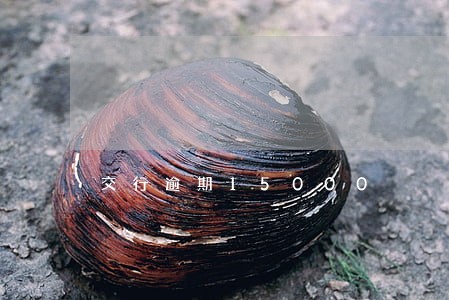 交行逾期15000