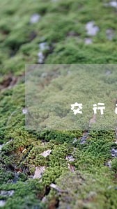 交行逾期16天停卡 交行逾期16天停卡