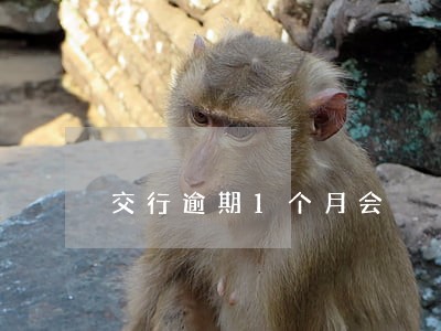 交行逾期1个月会 交行逾期1个月会