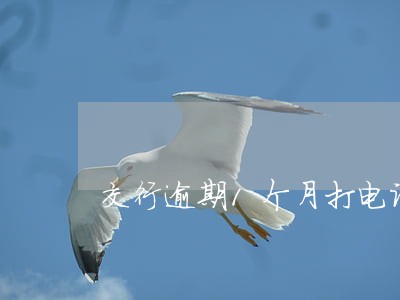 交行逾期1个月打电话催还款 交行逾期1个月打电话催还款