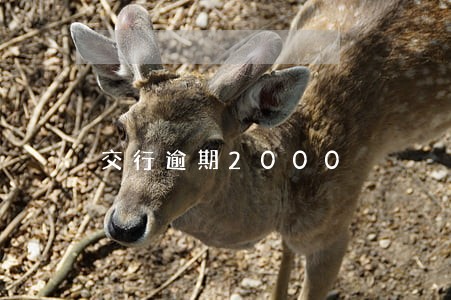 交行逾期2000 交行逾期2000