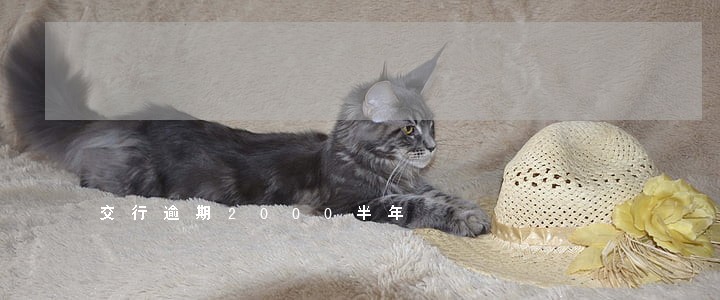 交行逾期2000半年