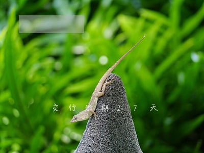 交行逾期27天 交行逾期27天