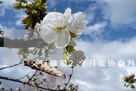 交行逾期2个月能协商吗 交行逾期2个月能协商吗