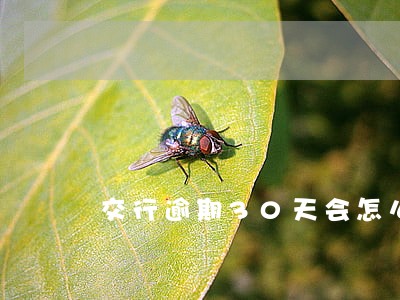 交行逾期30天会怎么样 交行逾期30天会怎么样