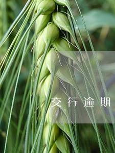 交行逾期32元 交行逾期32元