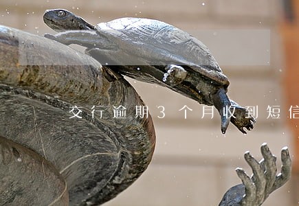 交行逾期3个月收到短信 交行逾期3个月收到短信