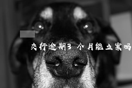 交行逾期3个月能立案吗 交行逾期3个月能立案吗
