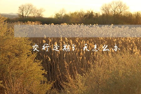 交行逾期3天怎么办 交行逾期3天怎么办
