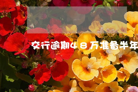 交行逾期48万准备半年了 交行逾期48万准备半年了