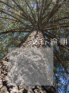 交行逾期4万 交行逾期4万