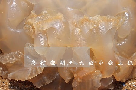交行逾期4天会不会上征信 交行逾期4天会不会上征信