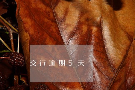 交行逾期5天 交行逾期5天