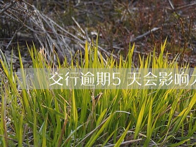 交行逾期5天会影响大吗 交行逾期5天会影响大吗