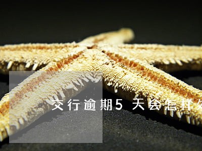 交行逾期5天会怎样处罚 交行逾期5天会怎样处罚