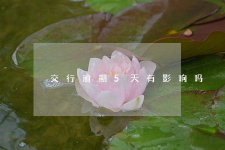 交行逾期5天有影响吗 交行逾期5天有影响吗