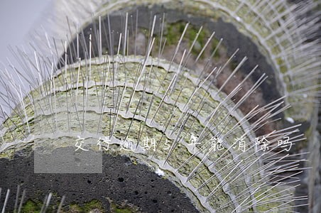 交行逾期5年能消除吗 交行逾期5年能消除吗