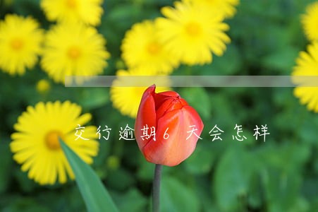 交行逾期6天会怎样 交行逾期6天会怎样