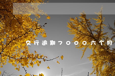 交行逾期7000六个月 交行逾期7000六个月