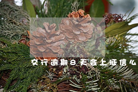 交行逾期8天会上征信么 交行逾期8天会上征信么