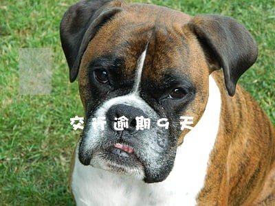 交行逾期9天 交行逾期9天
