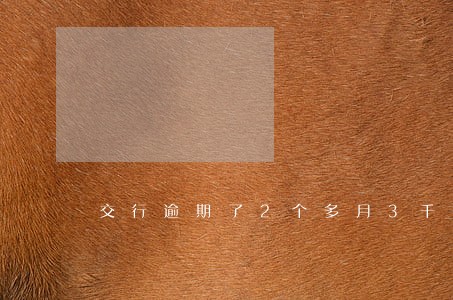 交行逾期了2个多月3千多 交行逾期了2个多月3千多