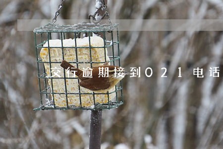 交行逾期接到021电话 交行逾期接到021电话