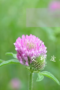 交行逾期撤销说是45天 交行逾期撤销说是45天