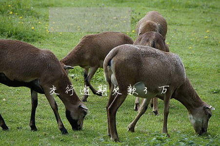交行逾期欠款3万 交行逾期欠款3万
