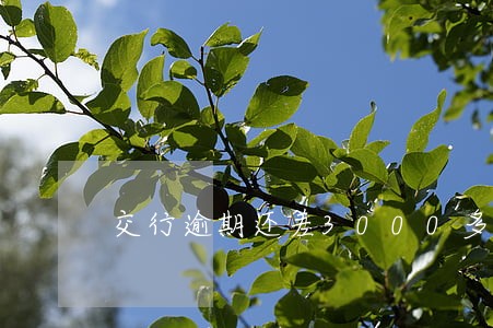 交行逾期还差3000多