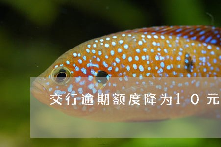 交行逾期额度降为10元 交行逾期额度降为10元