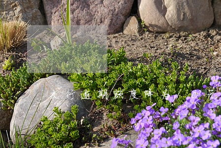 交行逾期额度降为10元怎么办 交行逾期额度降为10元怎么办