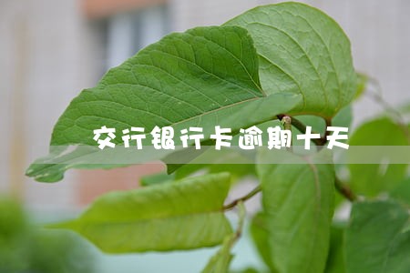 交行银行卡逾期十天