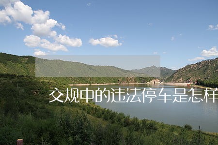 交规中的违法停车是怎样的