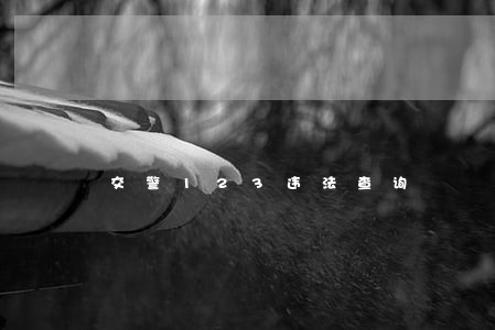 交警123违法查询