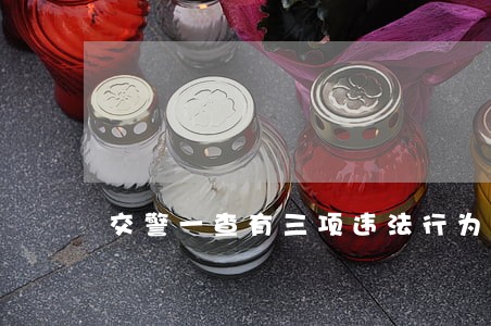 交警一查有三项违法行为 交警一查有三项违法行为