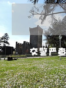 交警严查乱停乱靠违法违规行为 交警严查乱停乱靠违法违规行为