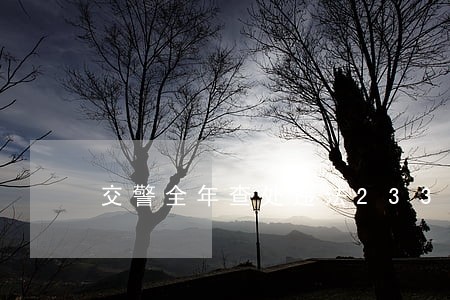 交警全年查处违法233起