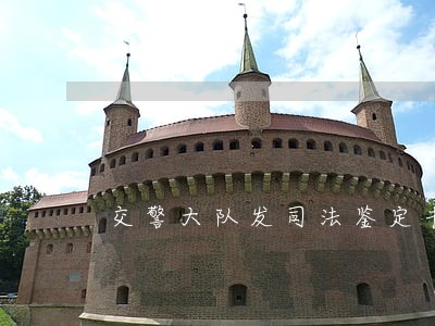 交警大队发司法鉴定书什么意思 交警大队发司法鉴定书什么意思
