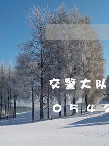 交警大队处理违法地点变了/2023020542392 交警大队处理违法地点变了/2023020542392