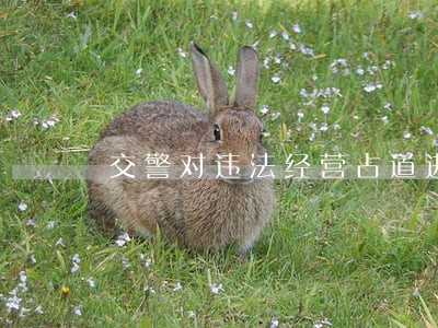 交警对违法经营占道进行劝导 交警对违法经营占道进行劝导