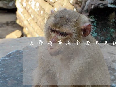 交警将重点打击四类违法违规行为 交警将重点打击四类违法违规行为