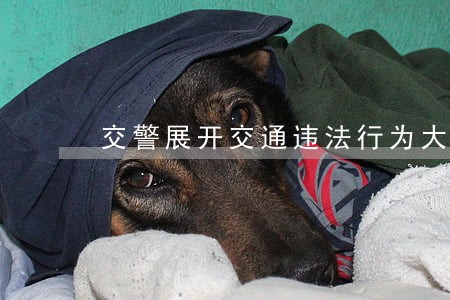 交警展开交通违法行为大整治 交警展开交通违法行为大整治