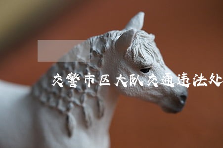 交警市区大队交通违法处理窗口 交警市区大队交通违法处理窗口
