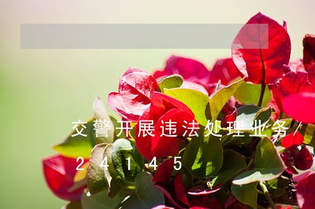 交警开展违法处理业务/2023012924145 交警开展违法处理业务/2023012924145
