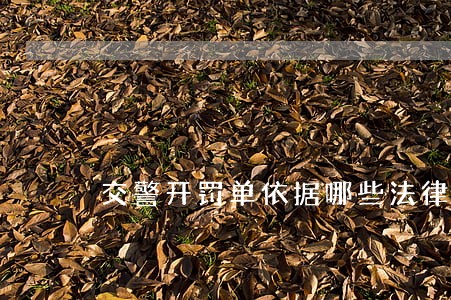交警开罚单依据哪些法律法规 交警开罚单依据哪些法律法规